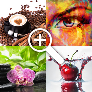 Akzente und Vielfalt