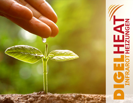 DIGEL HEAT stellt um auf Ökostromg